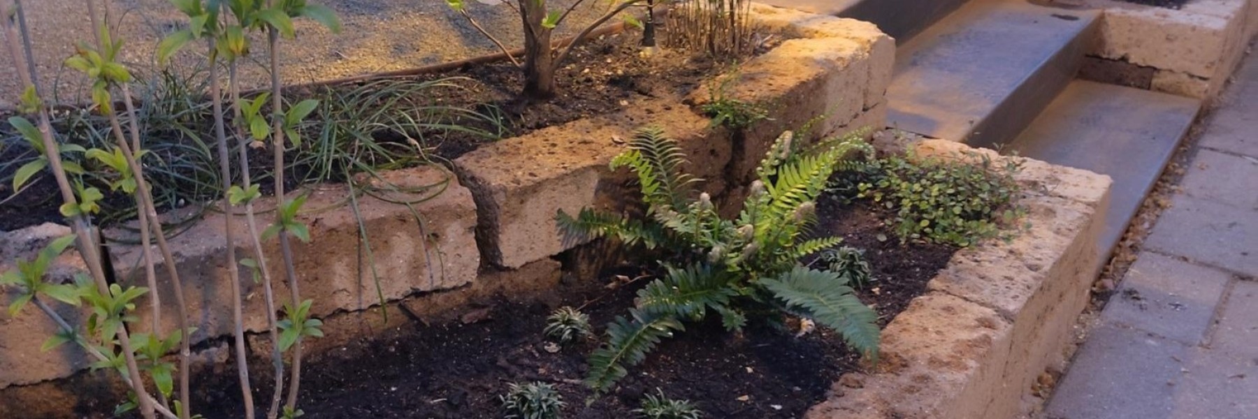 Anne Bulk-Brylla Tuinontwerp en Plantadvies