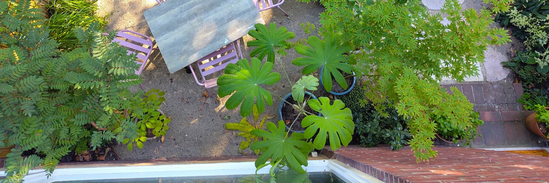 Tuinontwerp & Plantadvies