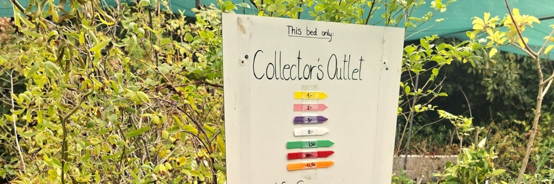 Collector's Outlet