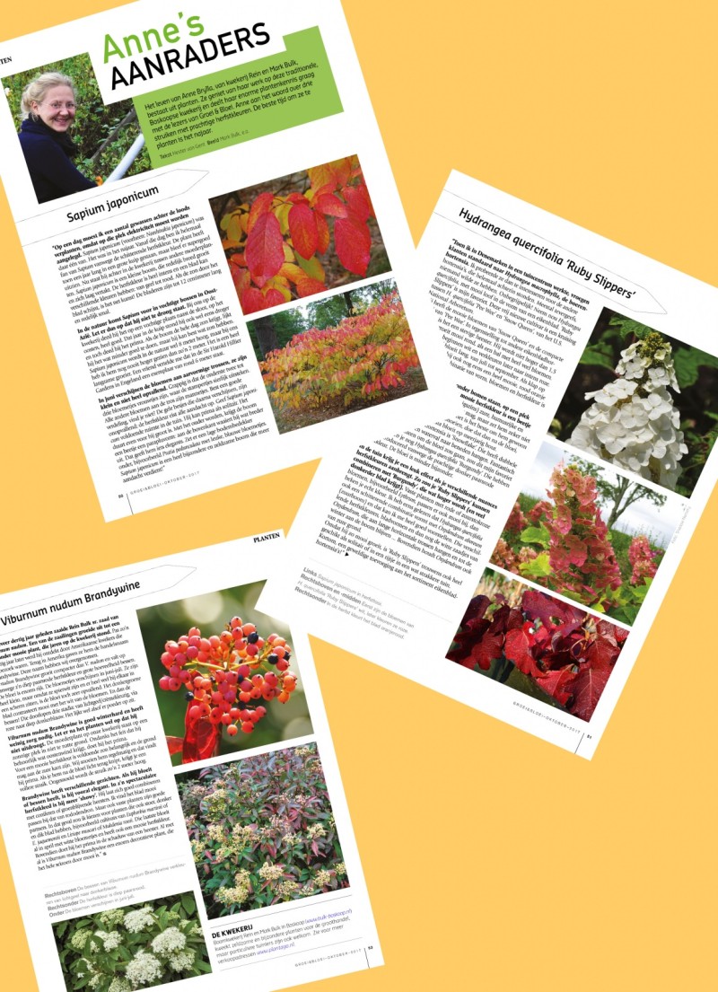 Groei en Bloei oktober 2017 - herfstkleur