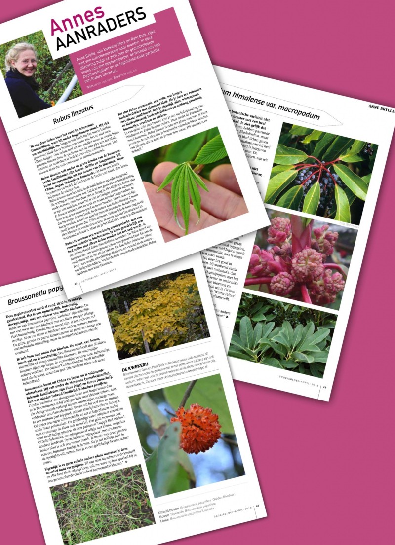 Groei en Bloei april 2018 - blad