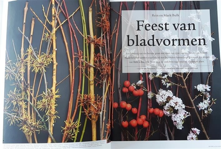 De Tuin in 4 seizoenen 2014 - nr.9 winter 