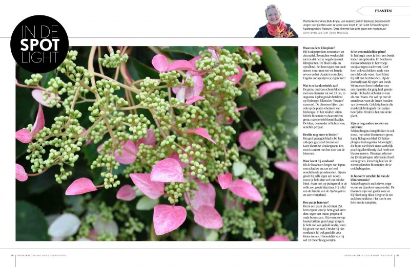 Groei en Bloei juli 2020 - klimmer
