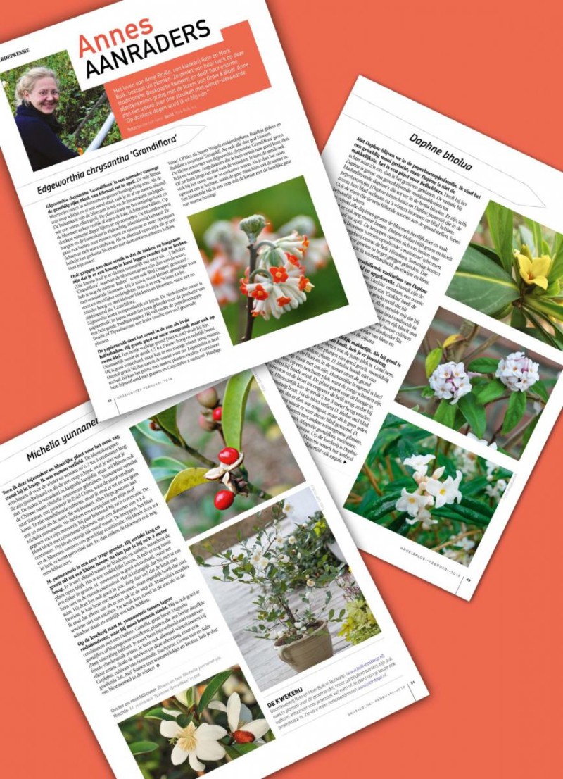 Groei en Bloei februari 2018 - winterbloei