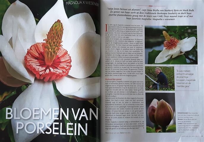 Groei en Bloei mei 2017 - Magnolia