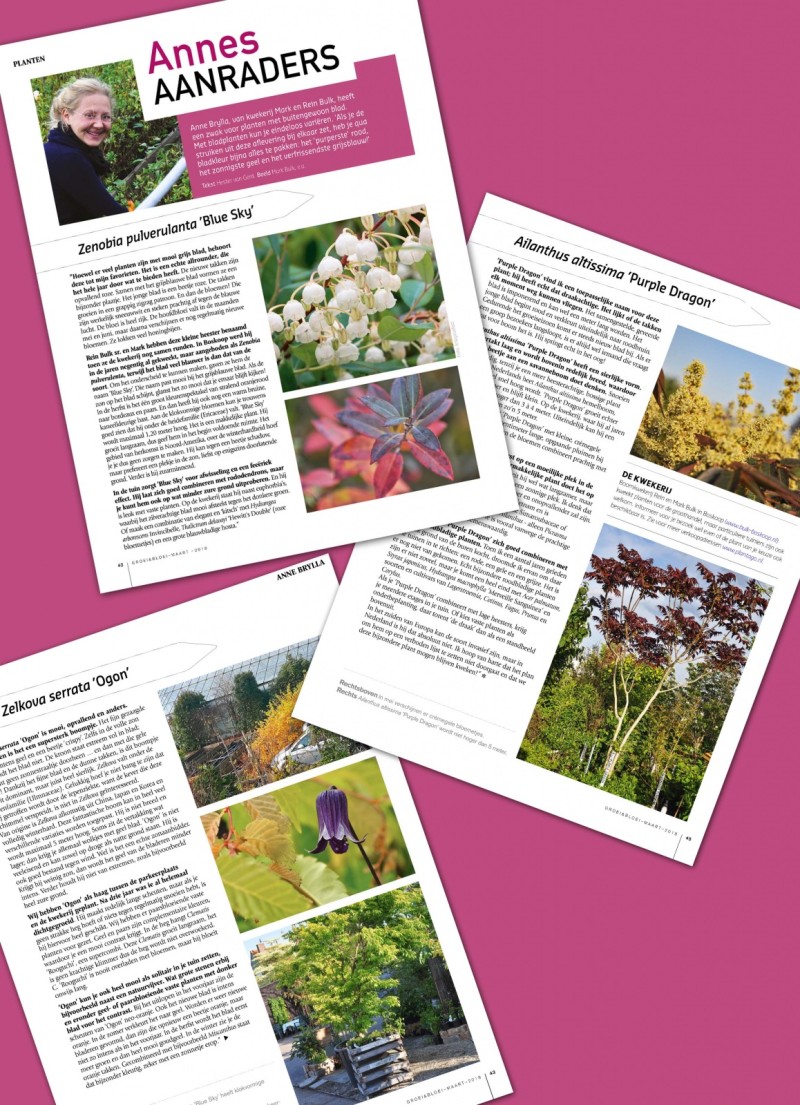 Groei en Bloei maart 2018 - blad kleur