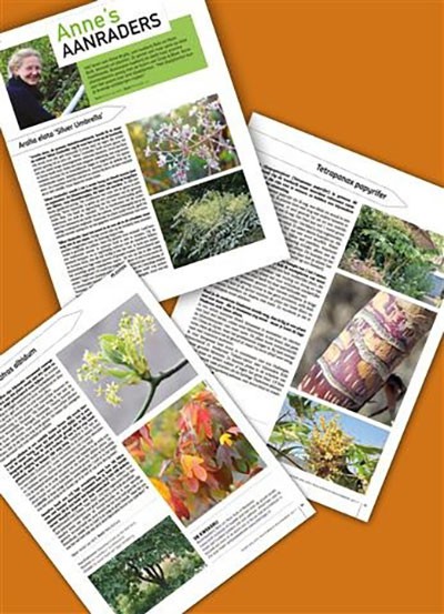 Groei en Bloei november/december 2017 - bladplanten