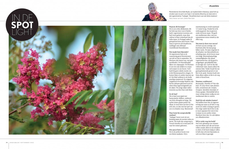 Groei en Bloei augustus/september 2020 - bloem