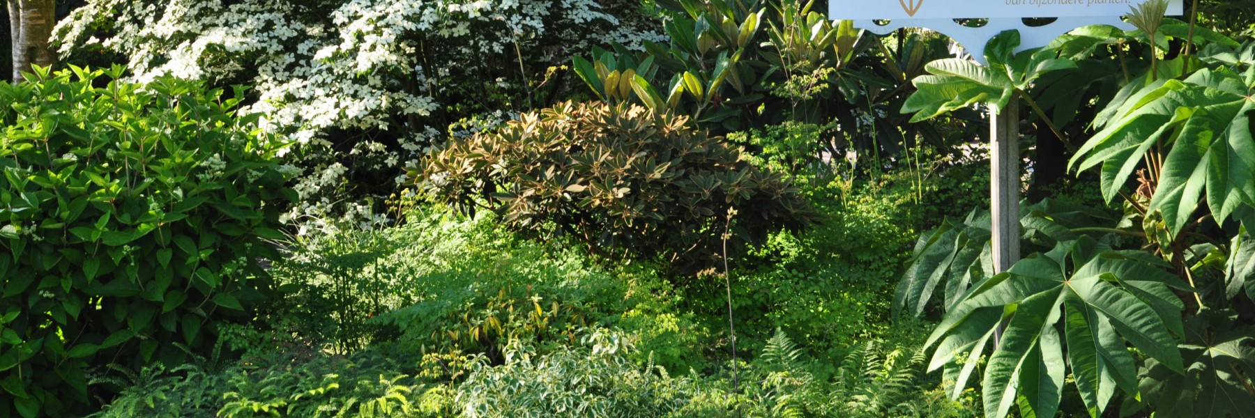 Gartengestaltung und -beratung